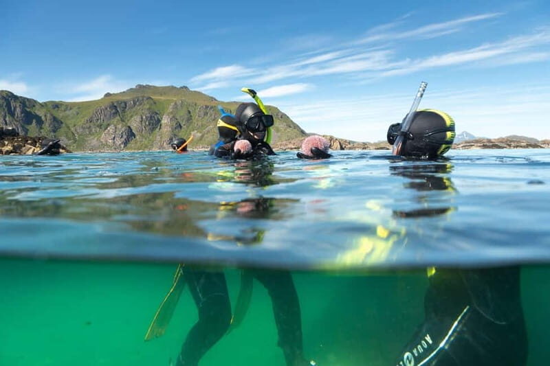 Lofoten: Family Snorkeling Tour - The Marine Environment: What You’ll See