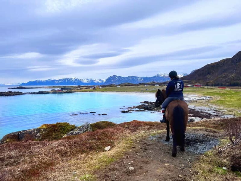 Lofoten: Guided Horse Riding Tour Over Hov and Hovsund - Authentic reviews and what travelers say