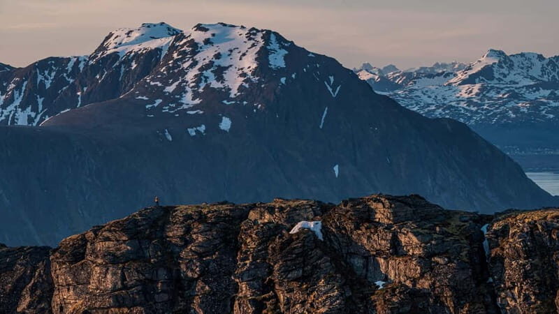 Lofoten Islands: Guided Hiking Into the Wilderness-Easy Tour - Why This Tour Stands Out