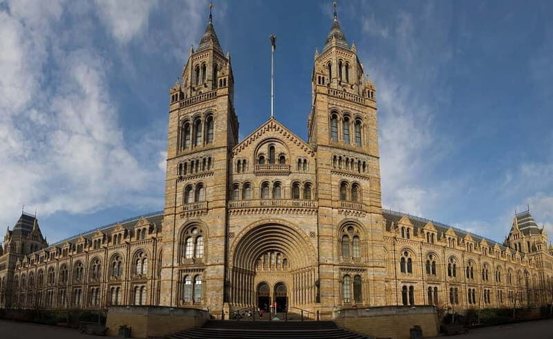 London: Natural History Museum Guided Tour - What to Expect During the Tour