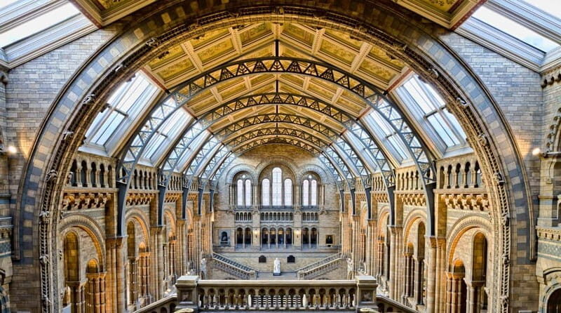 London: Natural History Museum Reserved Entry & Audio Tour - Exploring the Natural History Museum