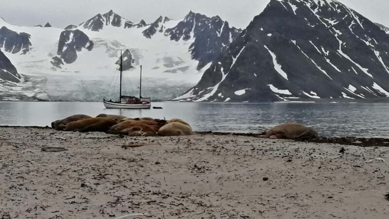 Longyearbyen: 10-Day Spitsbergen Cruise on Havella Boat - Practical Details & Considerations