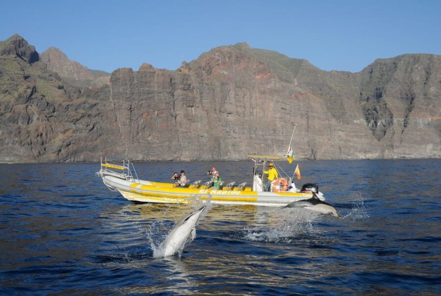 Los Gigantes: Dolphin and Whale Watching Cruise by Speedboat - Why This Tour Works for Travelers