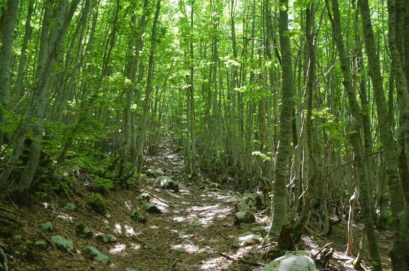 Loven Hiking Private Tour - The Itinerary in Detail