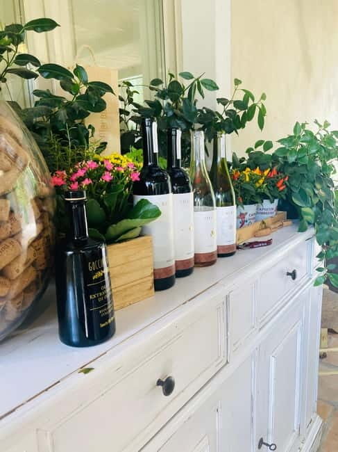 Lucca - Natural wine tasting at Tenuta Mareli - A Deeper Look at the Experience