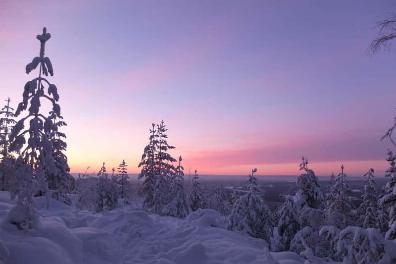 Luleå: snowshoeing in pristine nature with an expert guide! - Practical Details: What to Know Before Booking