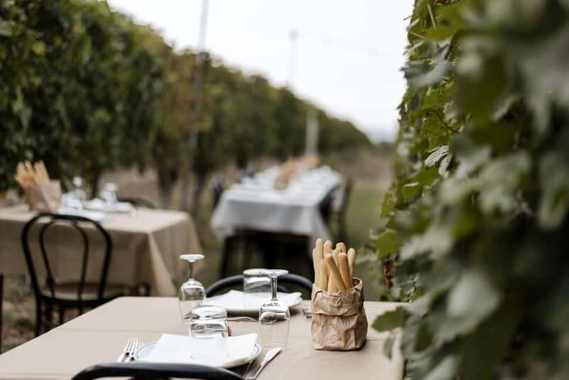 Lunch in the Vineyard in Alba - Who Will Love This Experience?