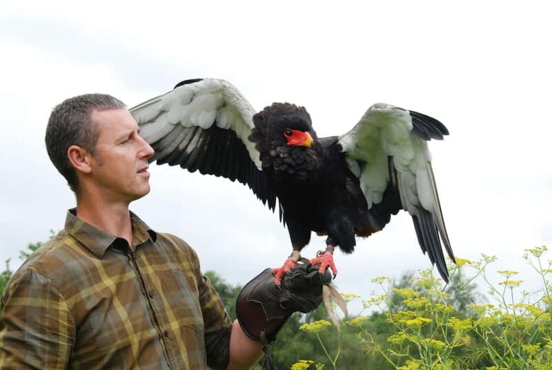 Lunch & Nature experience at Cumberland Bird of Prey Centre - Why This Tour Stands Out