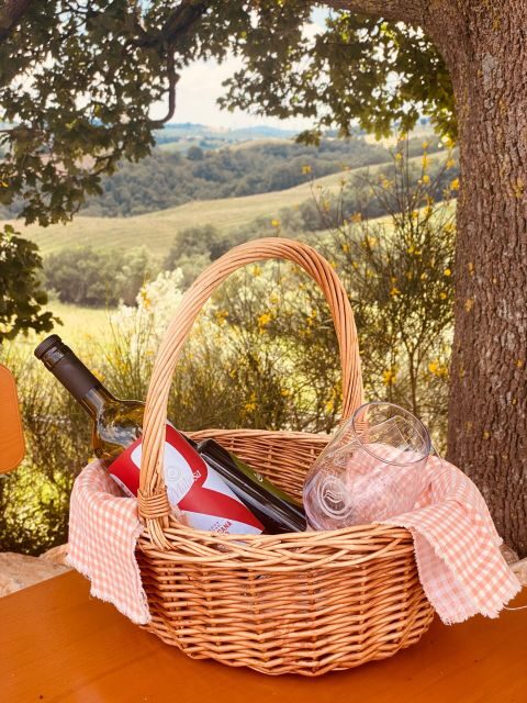 Lunch Picnic in the scenic hills of Maremma Tuscany - The Experience from Reviews: Authenticity and Atmosphere