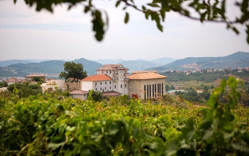 Lundër: Lundra Winery Guided Tour with Wine Tasting - Who Should Consider This Tour?