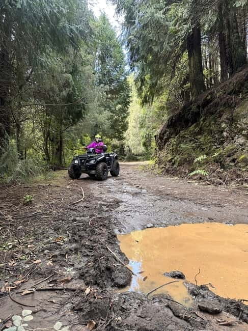 Madeira: ATV or QUAD off-road private adventure Santana - Who Should Consider This Tour?