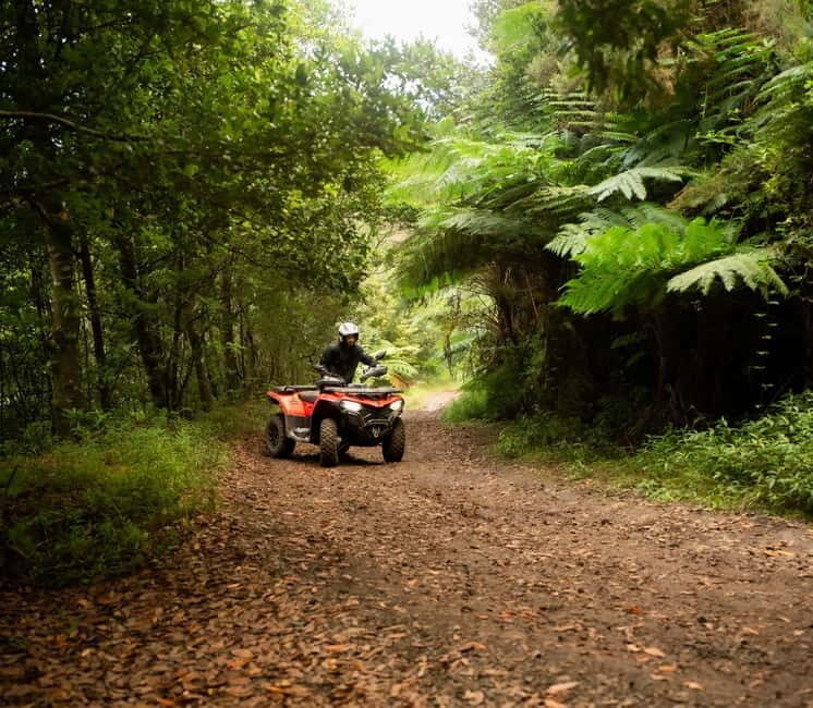 Madeira: Aventura Off-Road de ATV ou Quad - Adrenalina - The Itinerary Breakdown