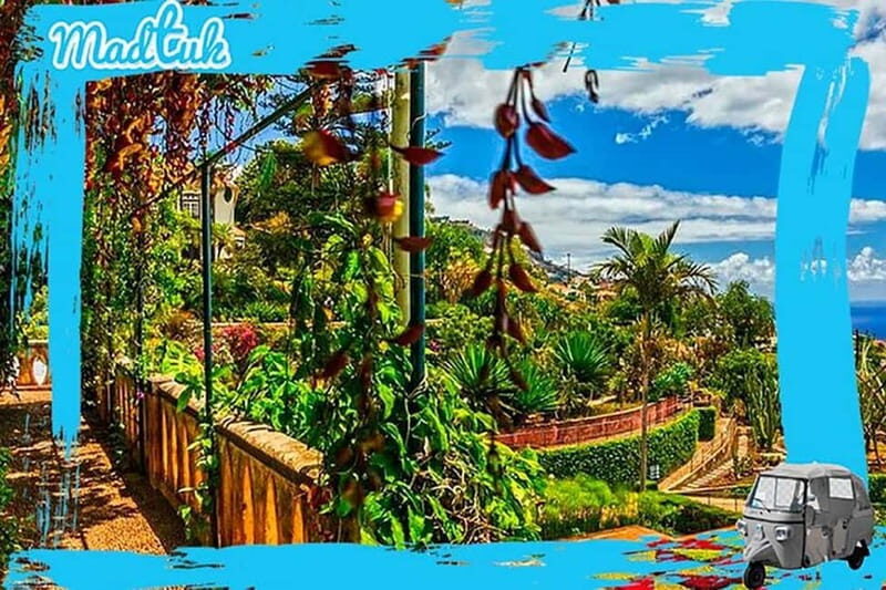Madeira: Botanical Gardens + Old Town Tuk-Tuk Tour by MadTuk - What to Expect at Each Stop
