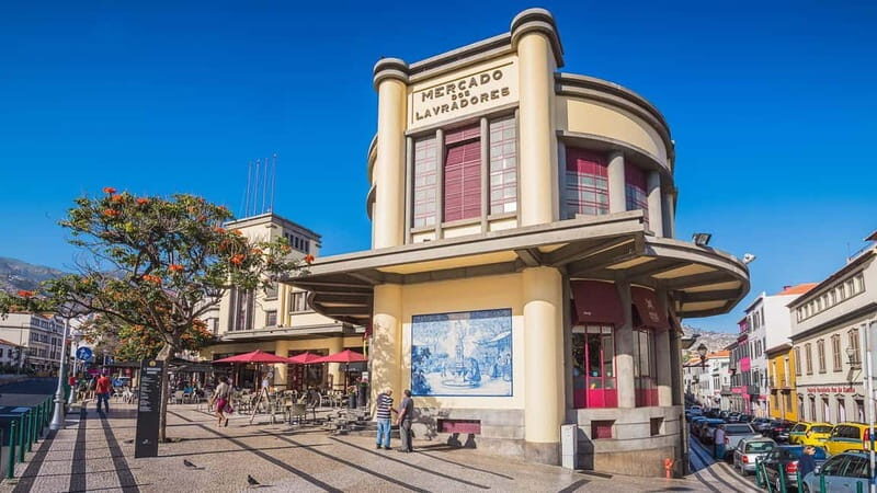 Madeira: Funchal City Historical Tuk Tour Guided by MadTuk - Final Thoughts: Who Is This Tour For?