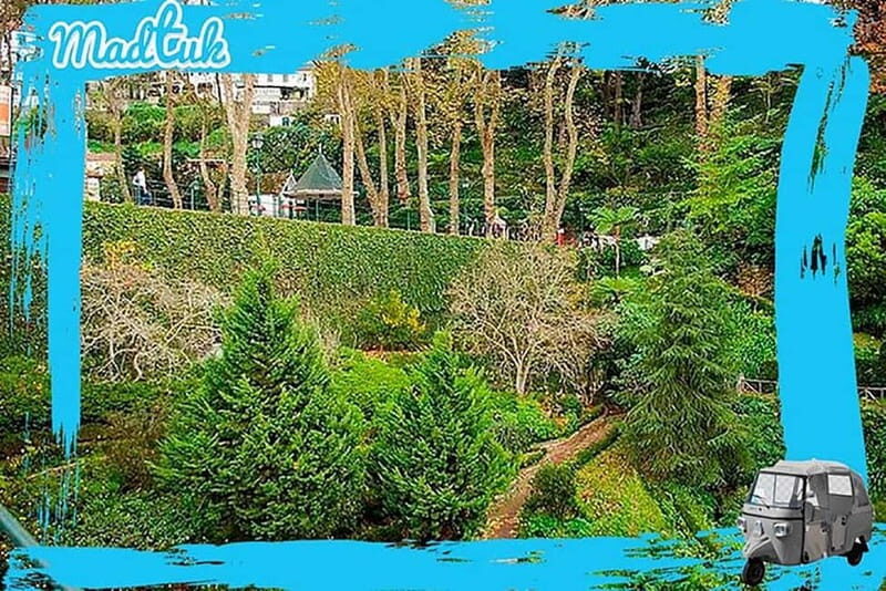 Madeira: Monte Toboggan + Old Town Tuk-Tuk Tour by MadTuk - Analyzing the Value