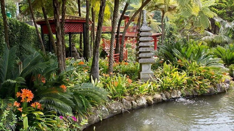 Madeira: Monte Tropical Gardens + Old Town Tuk Tuk by MadTuk - An In-Depth Look at the Tour