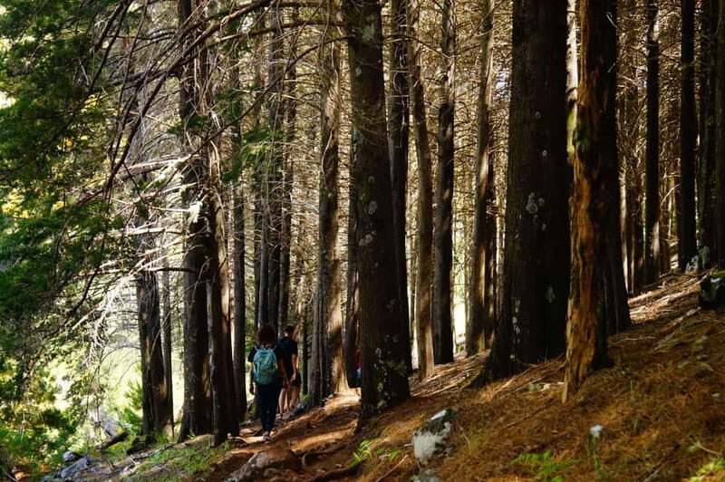 Madeira : Sunrise at Pico do Arieiro + 2 Hikes - PR1 and PR3 - The Journey: From Pickup to Return