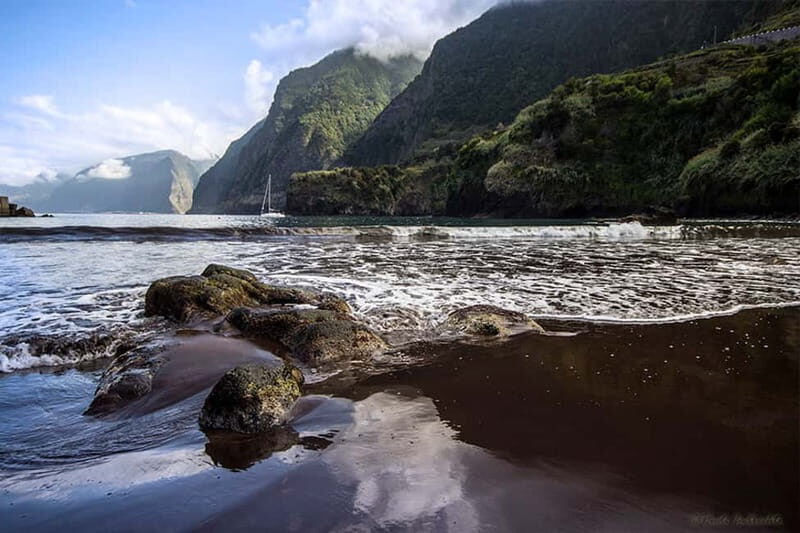 Madeira West Island Full-Day Tour with Fanal Forest - Authentic and Practical Experiences You Can Expect