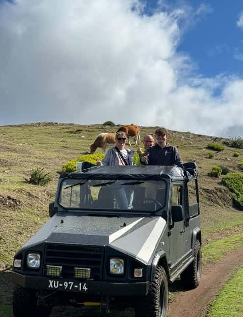 Madeiral de Jeep: (Skywalk, Seixal, Porto Moniz, Fanal) - An In-Depth Look at the Madeira Jeep Tour