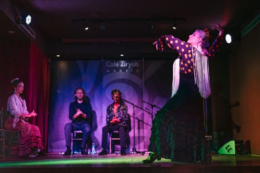 Madrid: Flamenco Show at Café Ziryab - Authentic Flamenco in Madrid: Who Should Book?