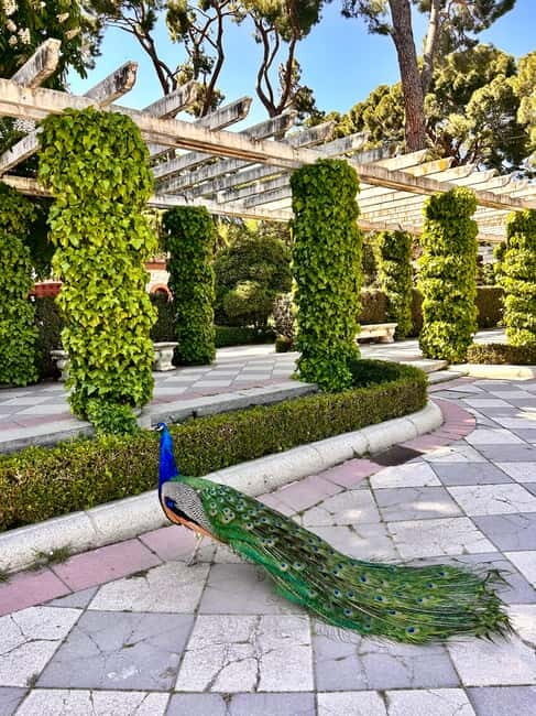 Madrid: Magic Retiro Park Bike Tour - What’s Included and What You Need to Know