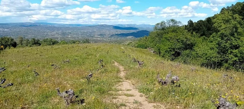Madrid Winery Tour with Tasting & Sommelier Guide - Who Will Love This Experience?