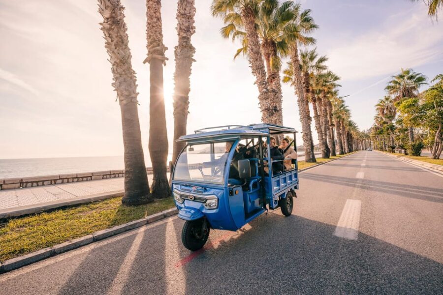 Málaga 2-Hour TukTuki Tour: Private Experience - What Tourists Love About This Experience