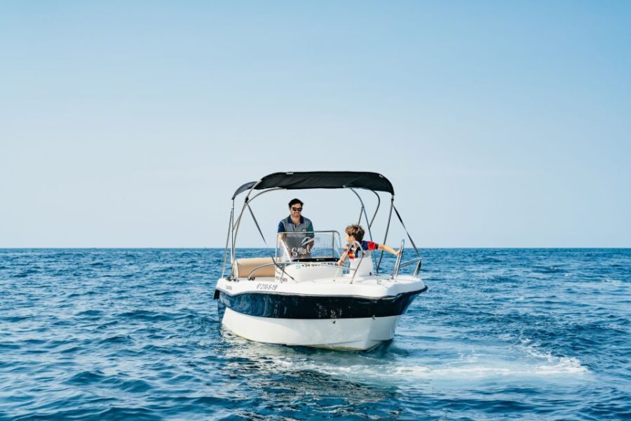 Malaga: Boat Rental without a License for Dolphin Watching - Breaking Down the Highlights