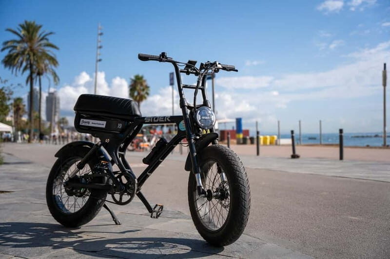Malaga: Guided E-Fatbike Tour with Panoramic Views - The Route and Highlights