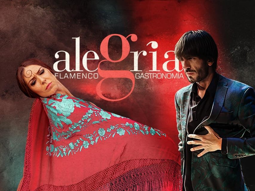 Málaga: Live Flamenco Show at Flamenco Alegría - Who Should Consider This Tour?