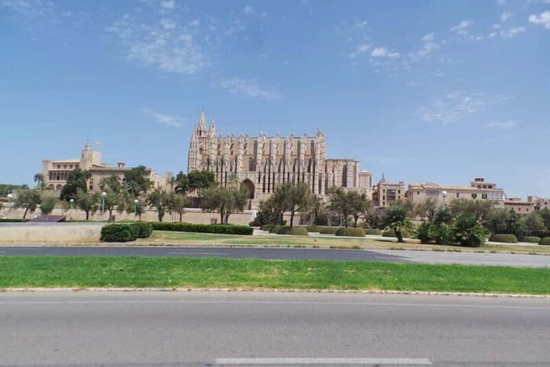 Mallorca / Peguera: Trike Tour - What to Expect on the Tour