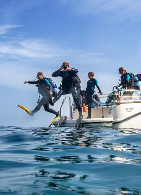 Mallorca: Scuba Dive Adventure Cap de Formentor - 1 dive site - The Itinerary Breakdown