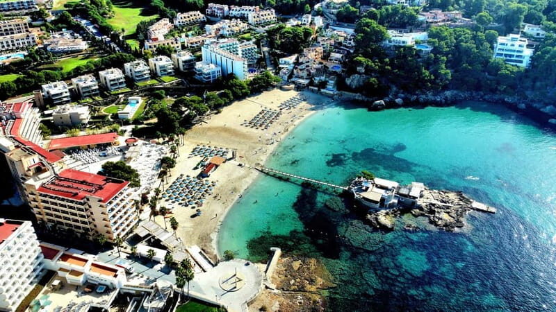 Mallorca: Scuba Diving for Beginners - The Itinerary: What to Expect