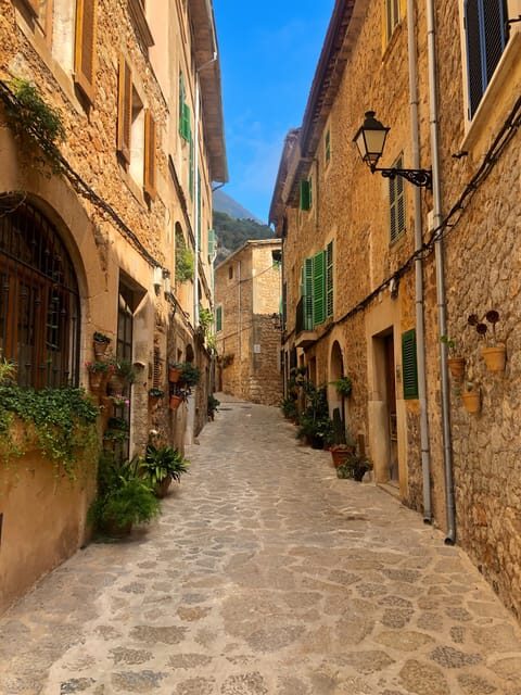 Mallorca: Valldemossa Half Day Tour - The Practical Details