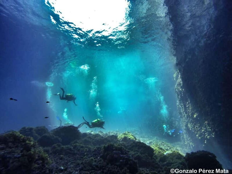Malta: Scuba Diving Experience for Beginners w/certificate - Detailed Breakdown of the Itinerary