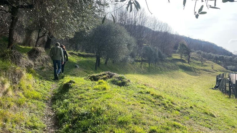 Mandello del Lario: Hike across hills and quaint hamlets - Who Will Love This Tour?