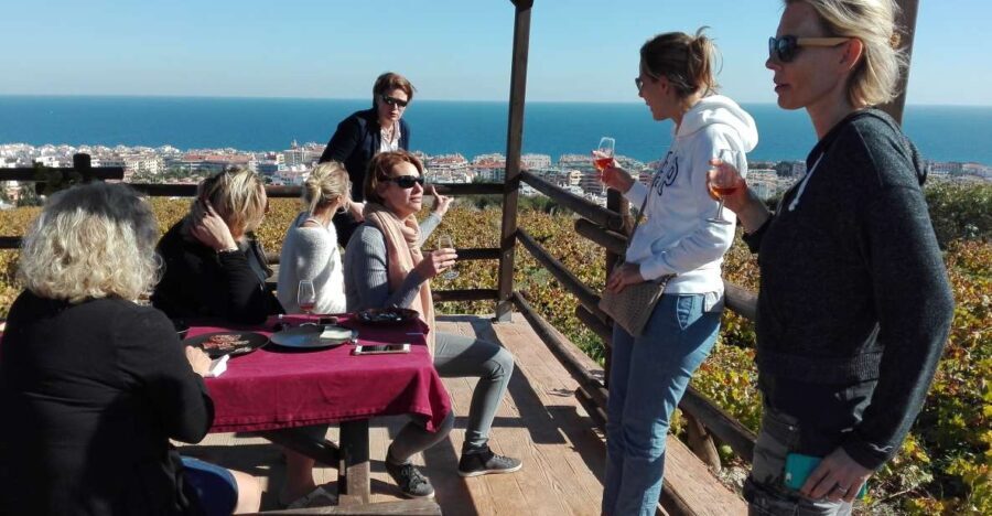 Manilva: Nilva Vineyard, Wine Tasting & Tapas Guided Tour - What Makes This Tour Stand Out?