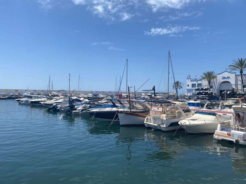Marbella: Private guided city tour with tapas tasting - A Closer Look at Marbella’s Hidden Charms