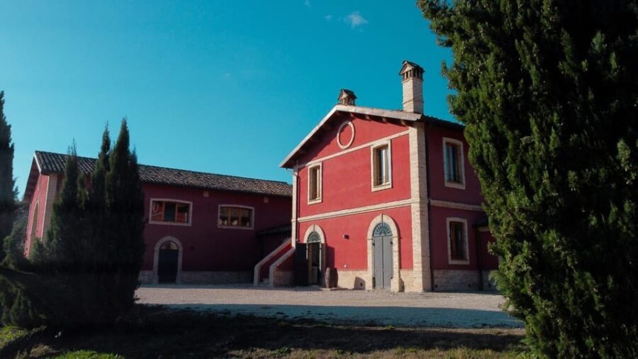 Marche: Tasting and Tour of Local Wines and Tastes at D'Erasmo Winery - Final Thoughts: Is This Tour Worth It?