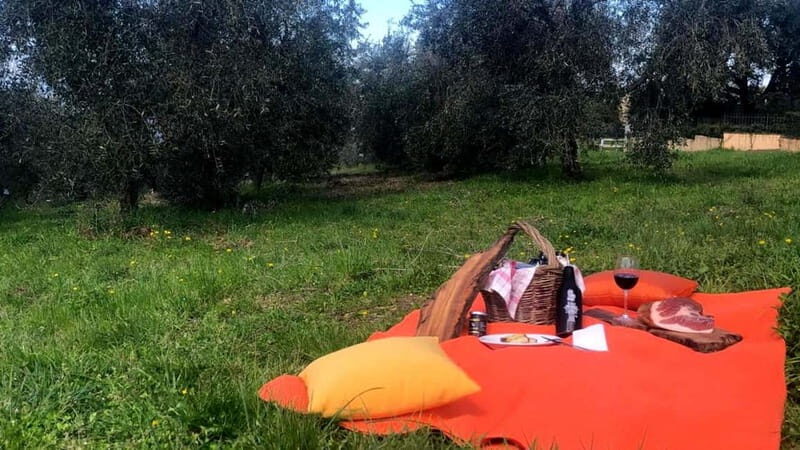 Maremma: Oil tasting with picnic among the olive trees - What’s Included and How It Works