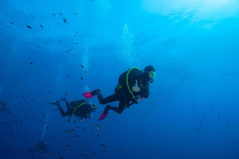 Marina di Campo: diving on the island of Elba - Practical Details and Considerations