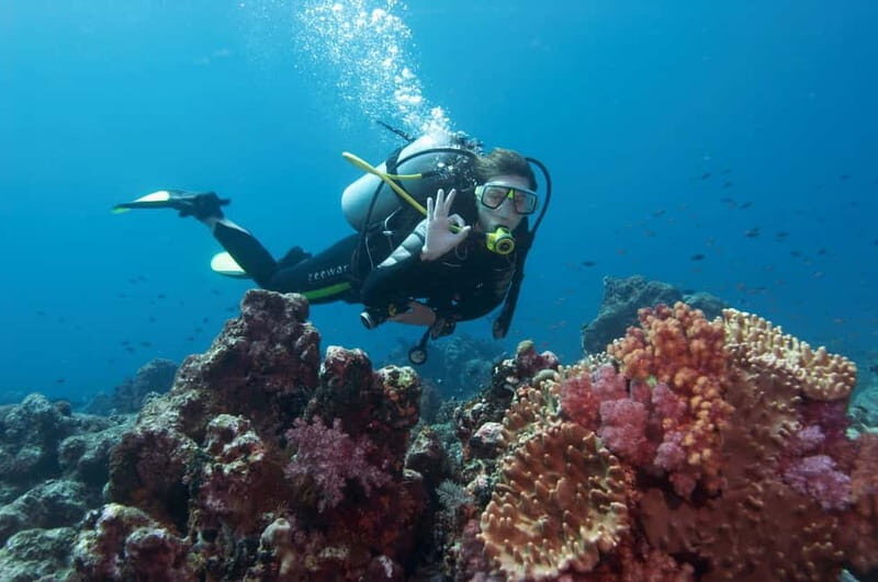 Marmaris: Scuba Diving, Incl. 2 Dive, Lunch w/Hotel Transfer - Who Is This Tour Best Suited For?