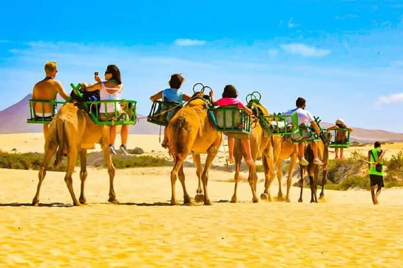 Maspalomas: 2-Seater E-Scooter Dunes Tour with Camel - The Dunes and Nature Highlights