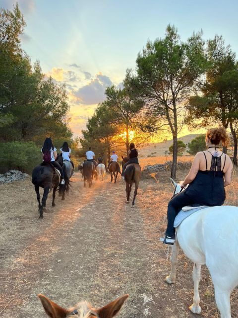 Matera: sunset horseback riding tour on Murgia - The Experience for Different Travelers