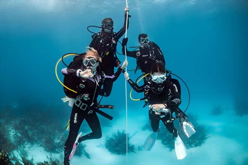 Mellieha: Introductory Diving Session in the Open Sea - What You Can Expect from the Experience