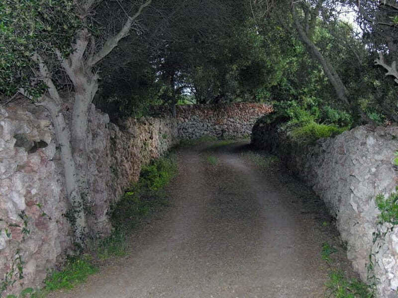 Menorca: E-Bike Tour From Punta Prima to Binibeca - What Makes This Tour a Great Value