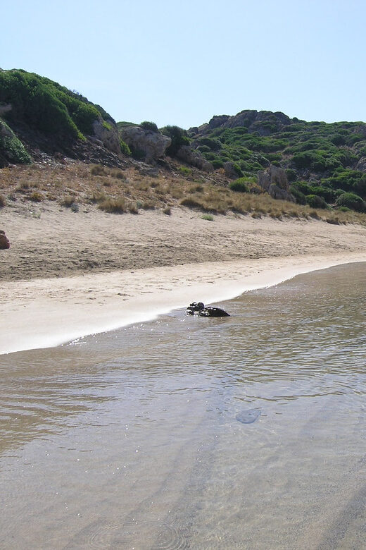 Menorca: Taxi-Boat from Es Grau to Colom Island - The Value and Practicalities
