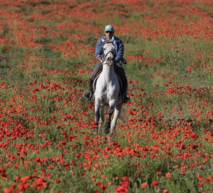 Middle day out of Rome: horsback riding adventure with meals - Horseback Riding in Abruzzo: What to Expect