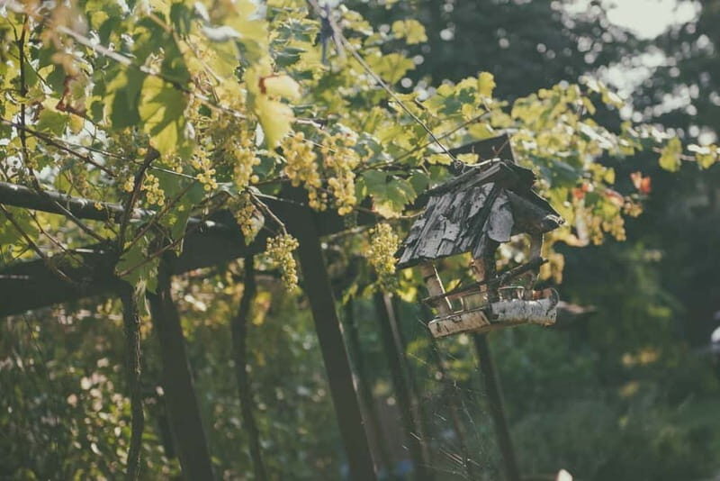Modra: Private Wine Tasting at a Family-Operated Winery - The Itinerary Breakdown
