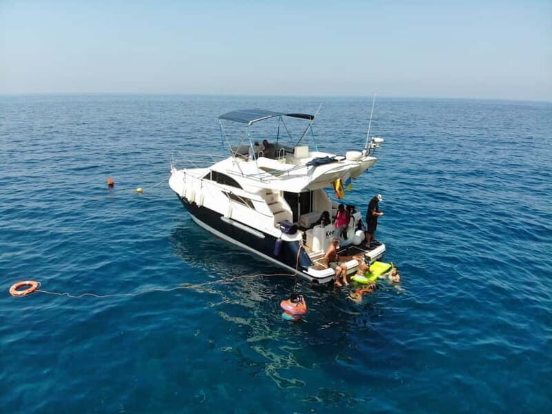Mogan: Dolphin Watching Boat Trip with Swim Stop - What to Expect on the Tour